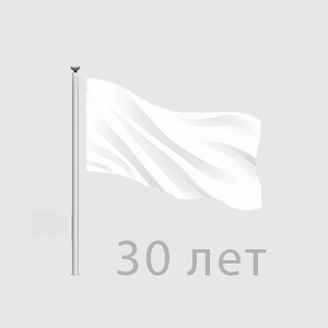 Более 30 лет успешной работы ТК СТЕИЛ